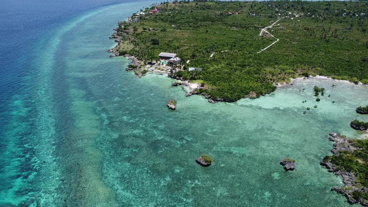 The Wild Orchid Resort - Moalboal Exterior photo