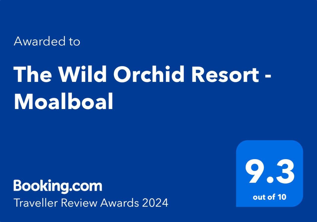 The Wild Orchid Resort - Moalboal Exterior photo