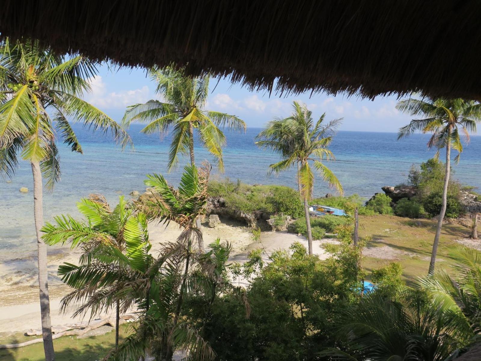 The Wild Orchid Resort - Moalboal Exterior photo