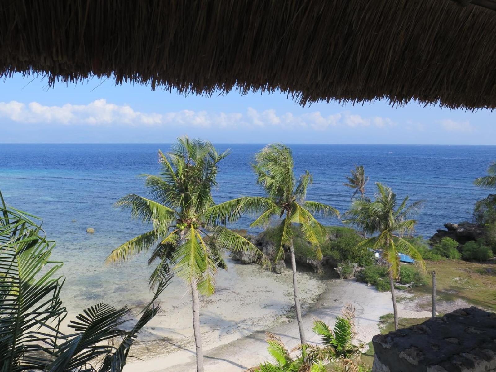 The Wild Orchid Resort - Moalboal Exterior photo