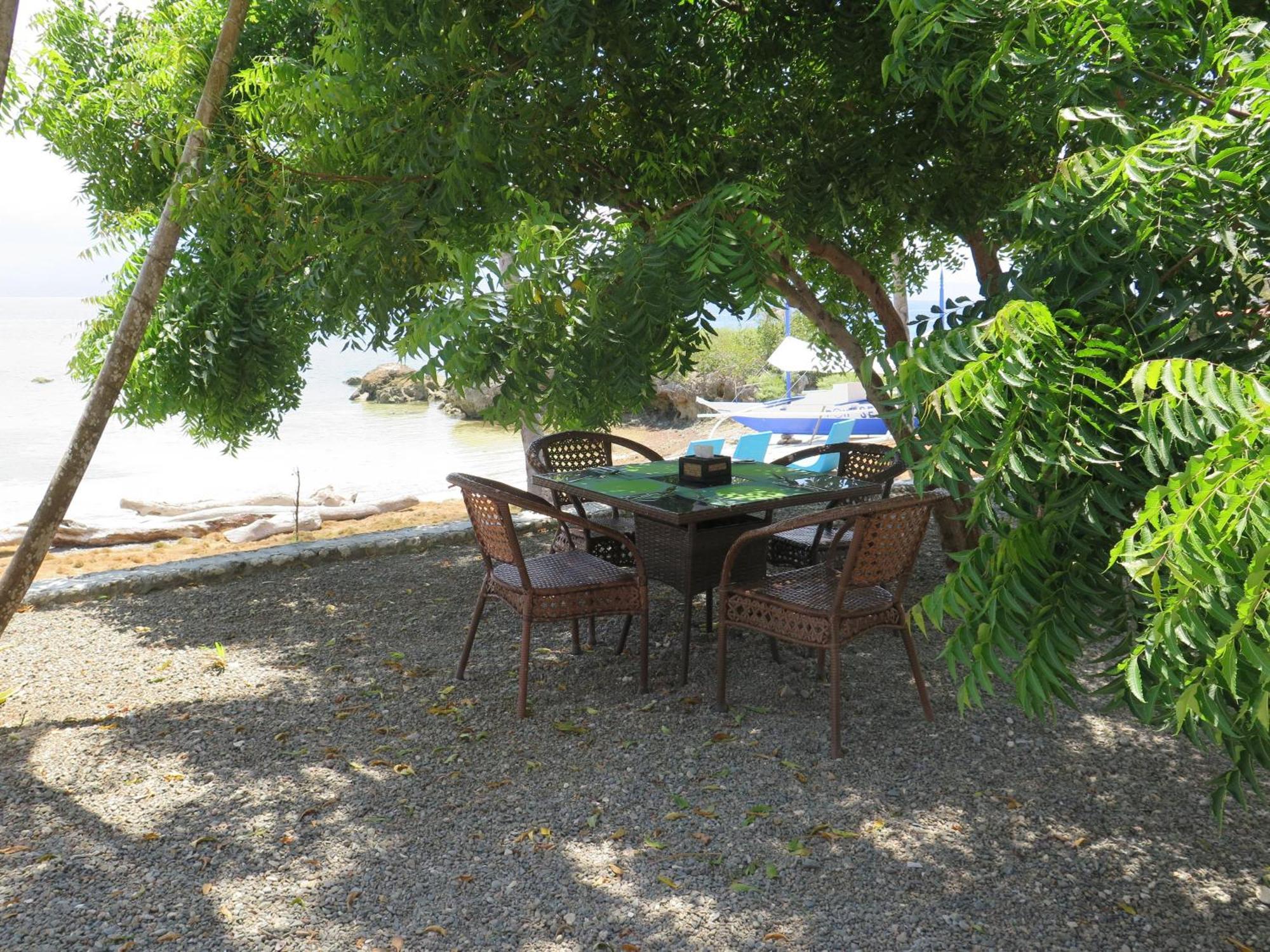 The Wild Orchid Resort - Moalboal Exterior photo