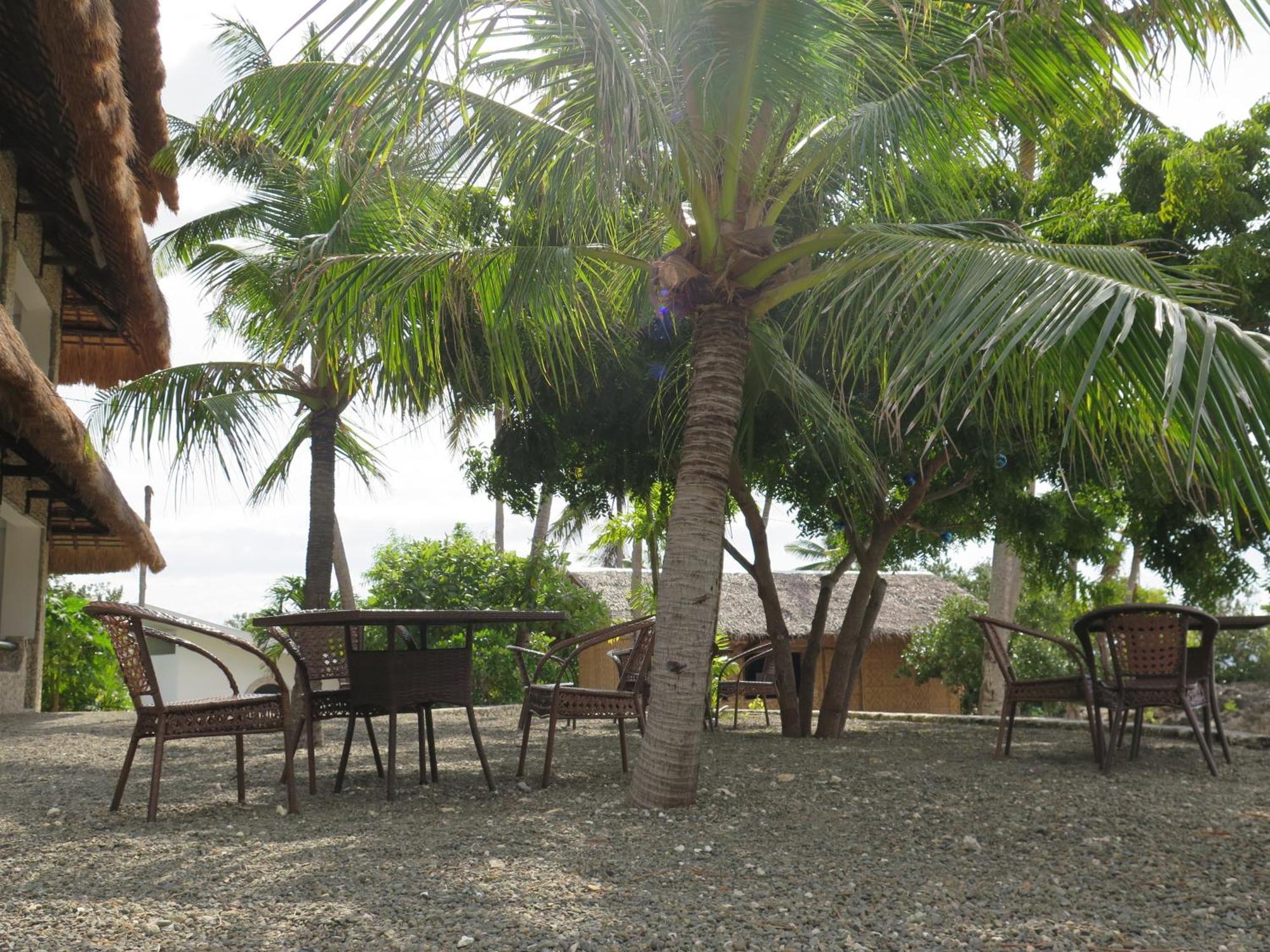The Wild Orchid Resort - Moalboal Exterior photo