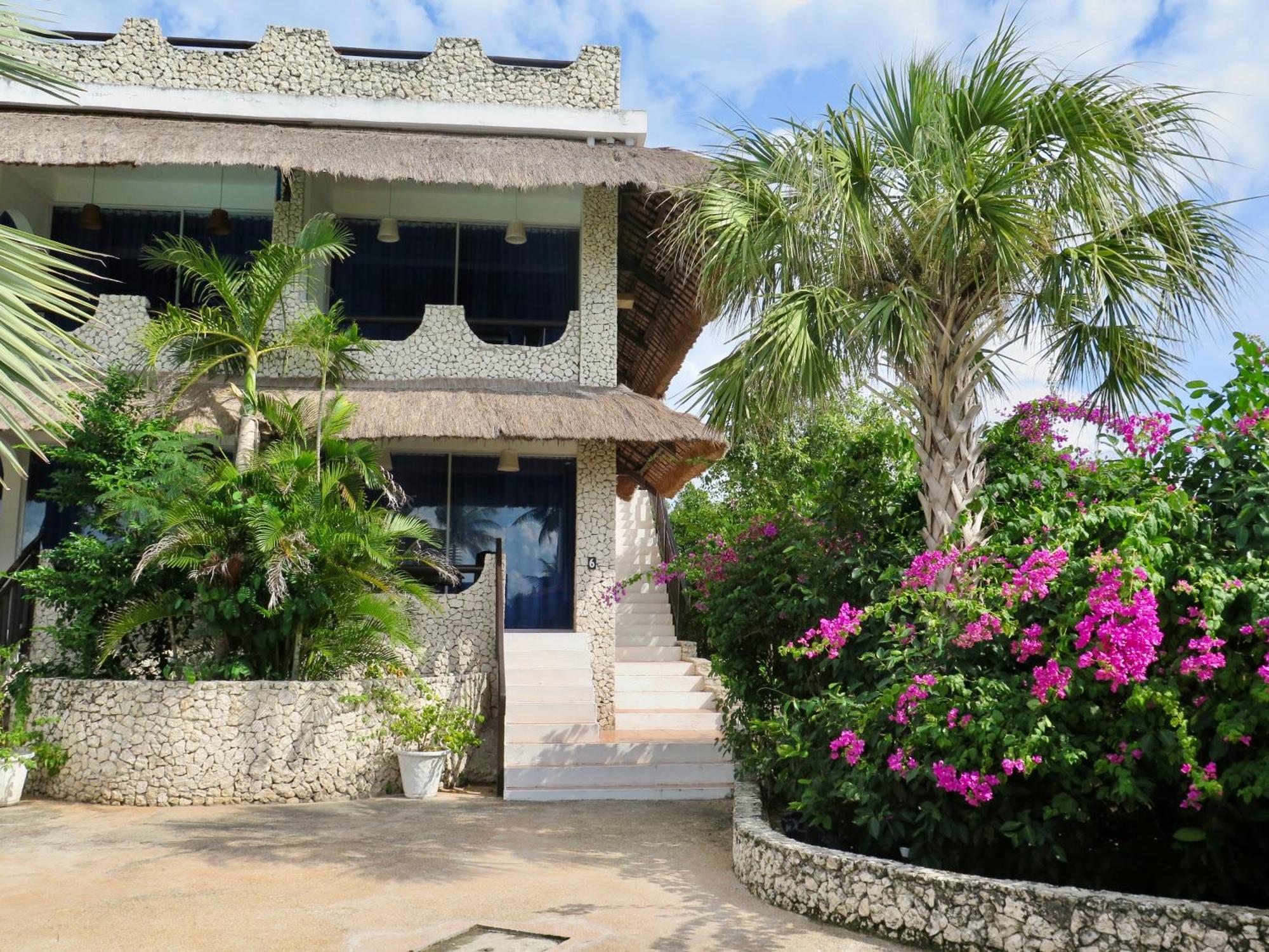 The Wild Orchid Resort - Moalboal Exterior photo