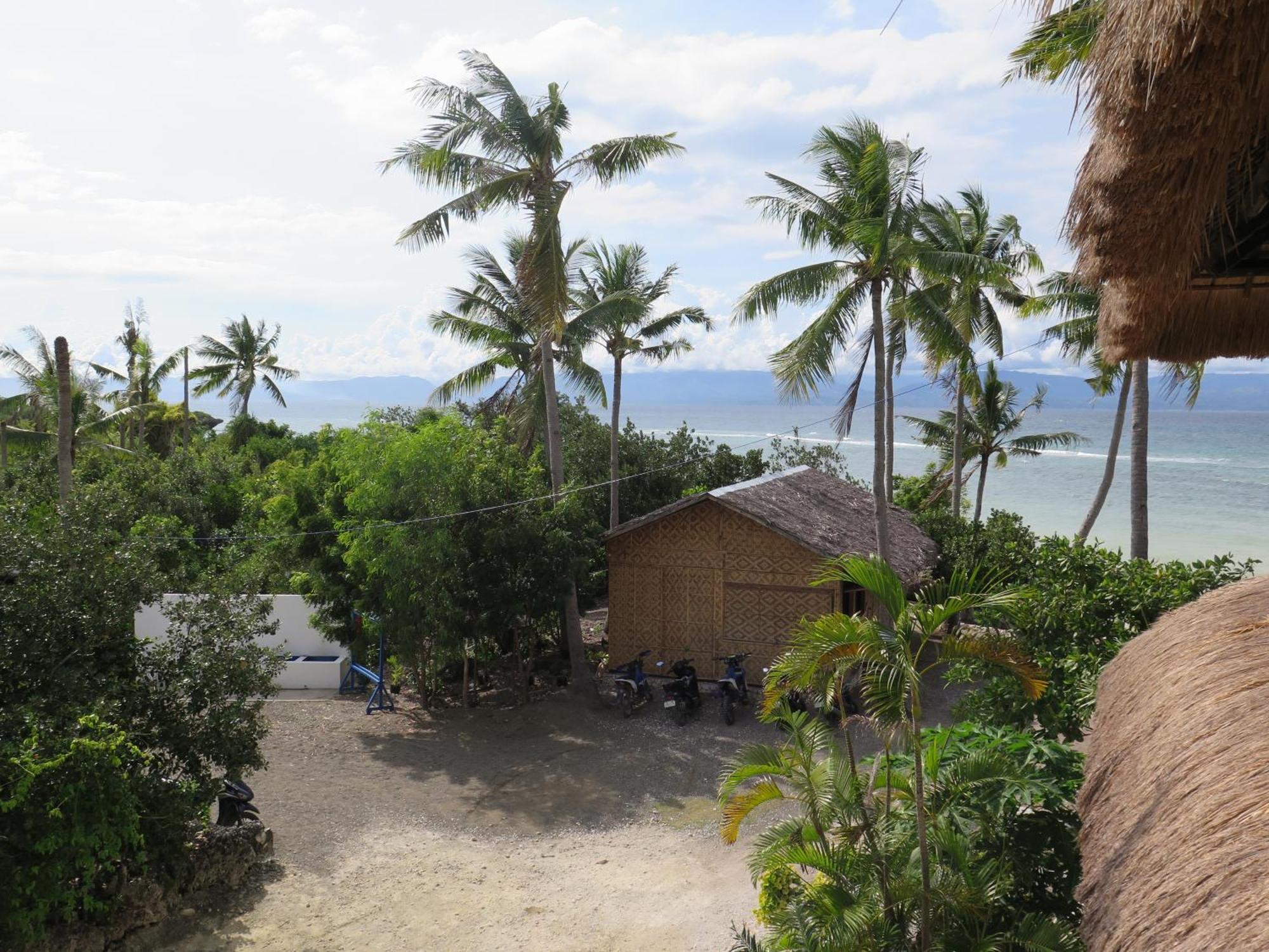 The Wild Orchid Resort - Moalboal Exterior photo