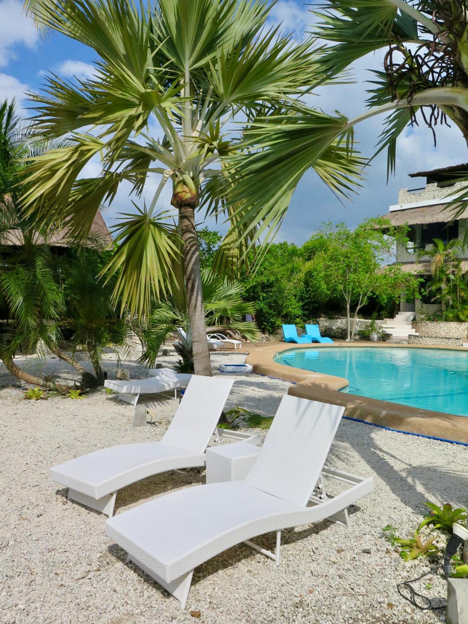 The Wild Orchid Resort - Moalboal Exterior photo