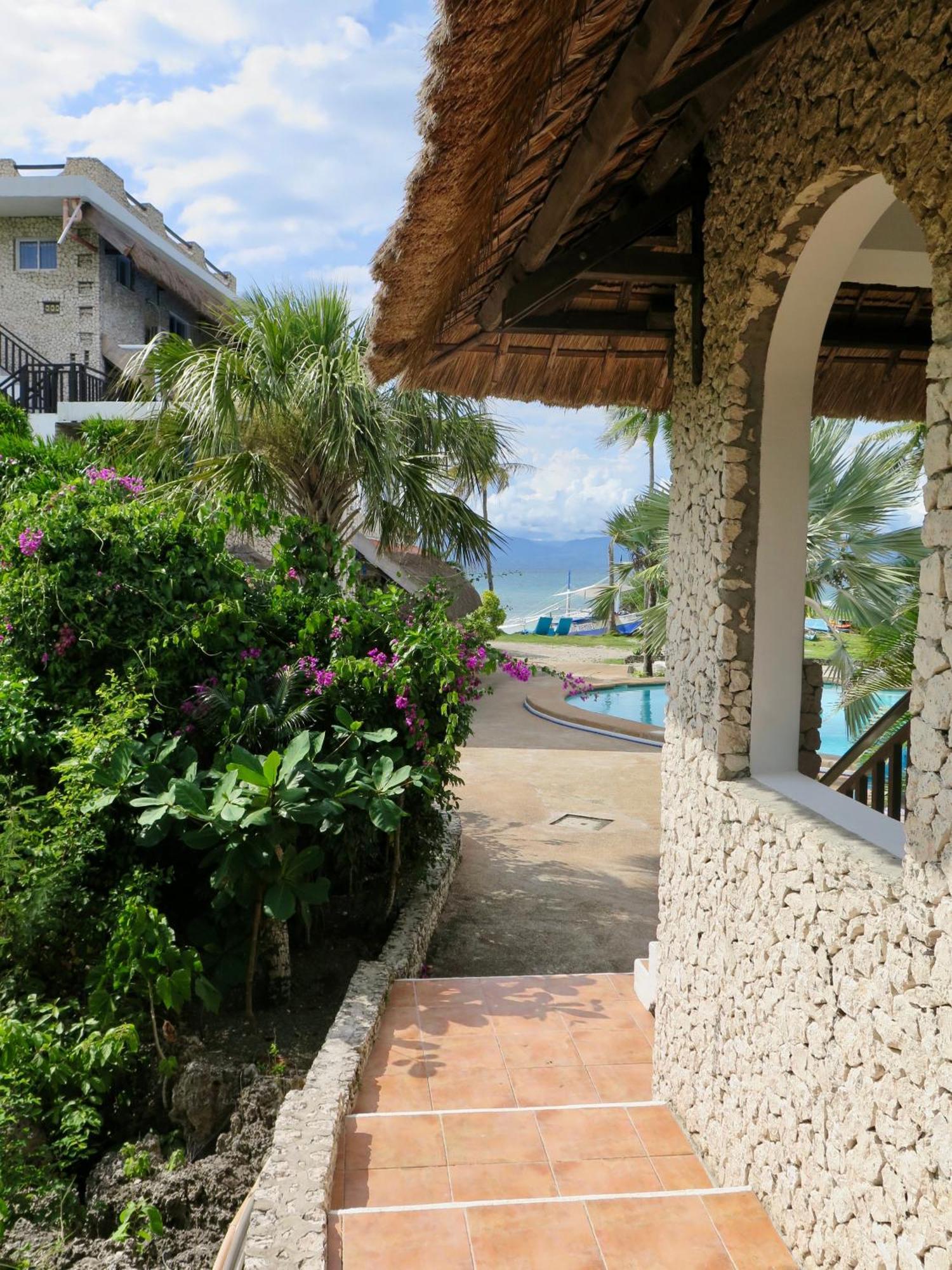 The Wild Orchid Resort - Moalboal Exterior photo