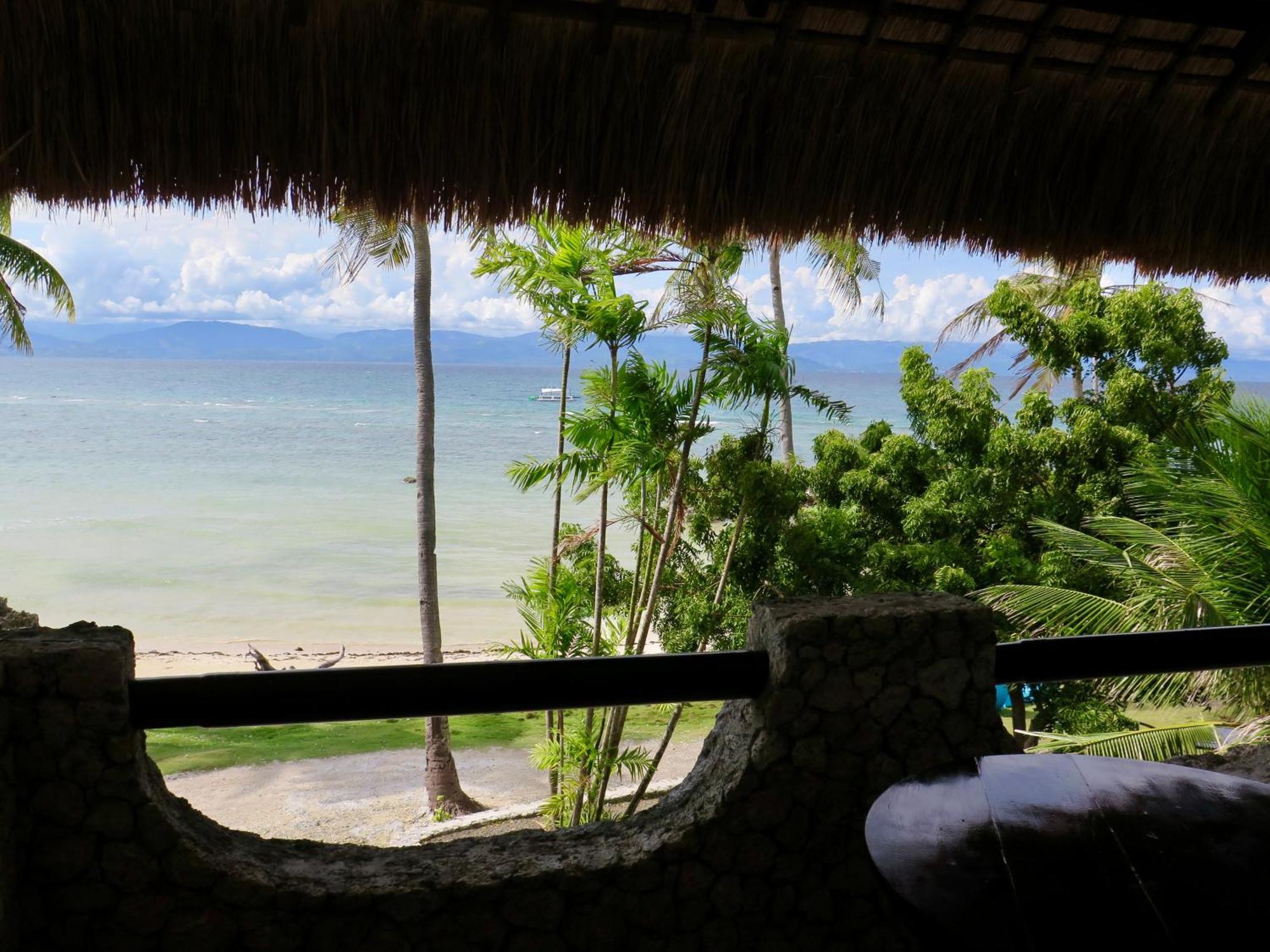 The Wild Orchid Resort - Moalboal Exterior photo